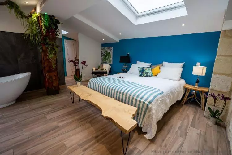 Chambre exotique - Maison d-hotes a Bordeaux