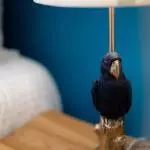 Perroquet de la chambre exotique - La Parenthese des Capucins a Bordeaux