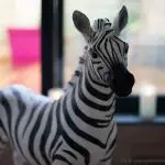 Zebre de la chambre exotique - La Parenthese des Capucins a Bordeaux